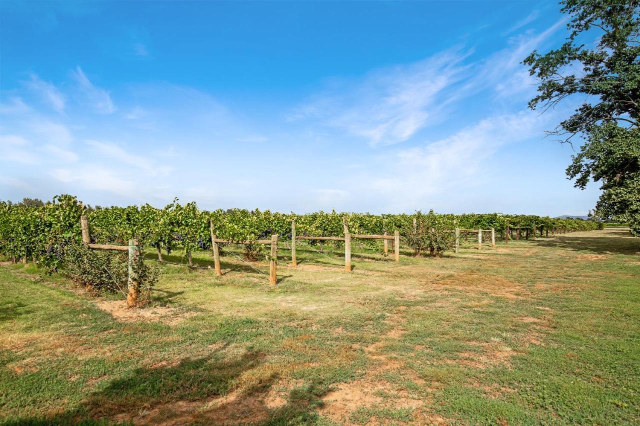 Milawa Vineyard Views - Guesthouse 1 Kültér fotó