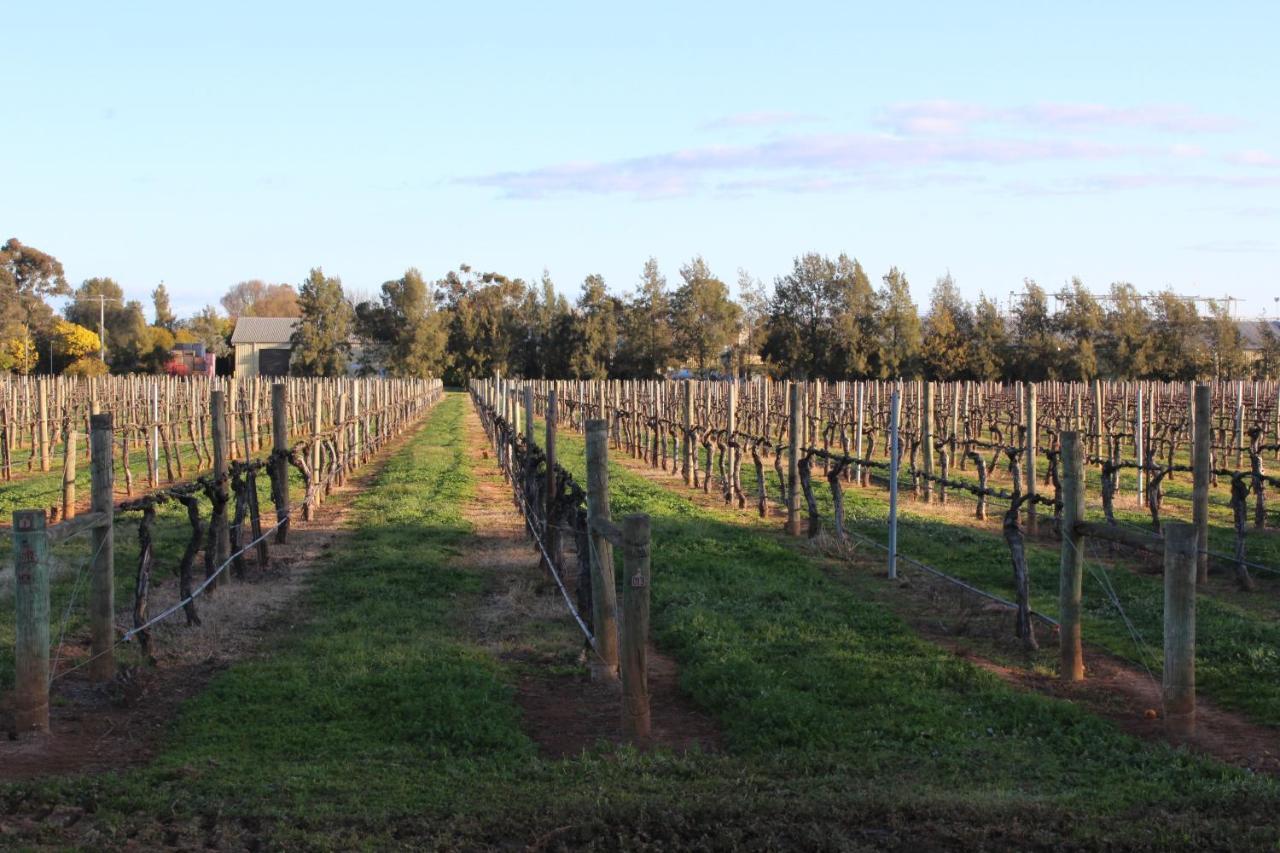 Milawa Vineyard Views - Guesthouse 1 Kültér fotó
